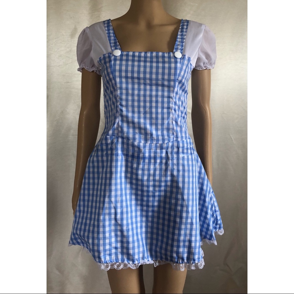 Dorothy Wizard of Oz Adult Women’s Costume